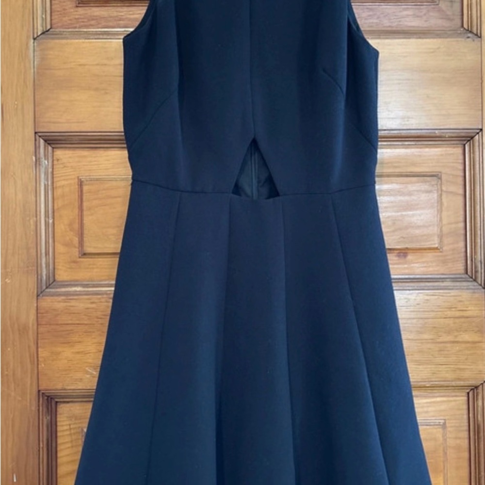Club Monaco Fit-and-Flare Dress with small cut out